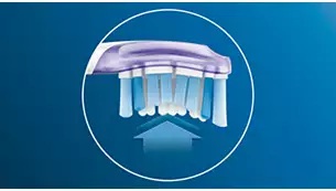 �v���~�A���K���P�A�u���V�w�b�h