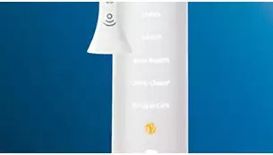 �u���V�w�b�h�F���@�\�Ή�