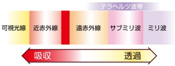 5336537_���烍�[���[2