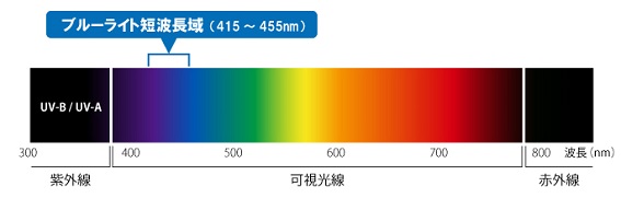 �u���[���C�g���70���ጸ�����uEye Protection LED�v�𓋍ڂ����ڂɂ₳�����X�^���h