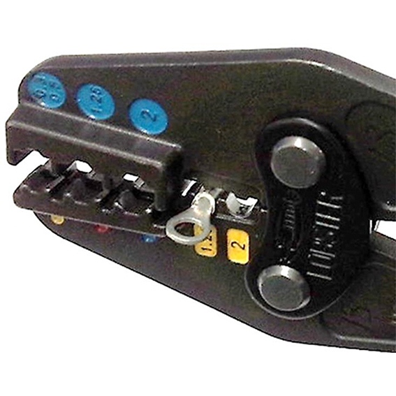 �y���͂Ń��N���N����