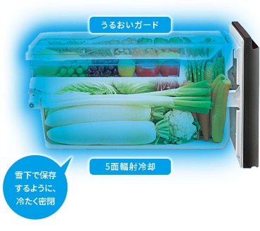 5589231_�①��_����13