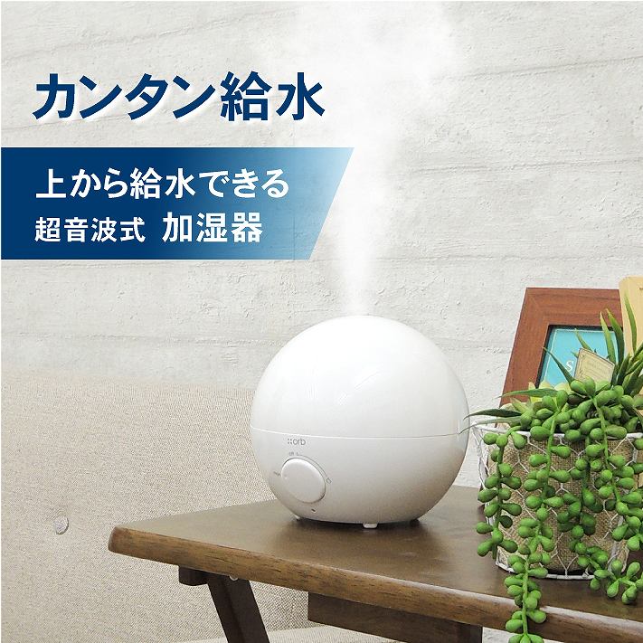 �ォ�狋���ł��钴���g���@������