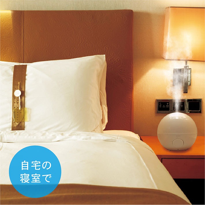 ����̐Q����