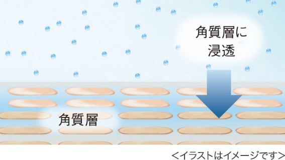 5752256_�t�F�C�X�X�`�[�}�[1