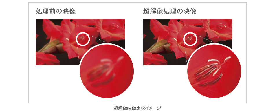 �C���[�W�F���𑜉f����r