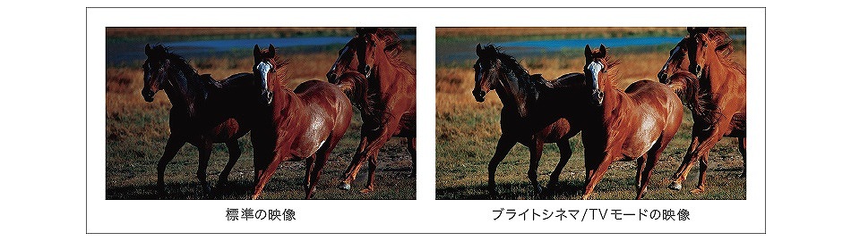 �C���[�W�F�s�N�`���[�v���Z�b�g