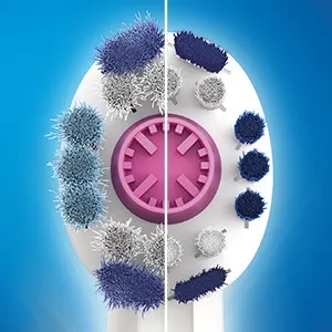 �F���ς���Ă��m�点���Ă����ё�