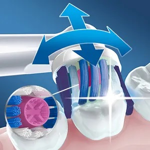 �������o�[�J�b�v�Œ��F����𗎂Ƃ��Ď��R�Ȕ�������