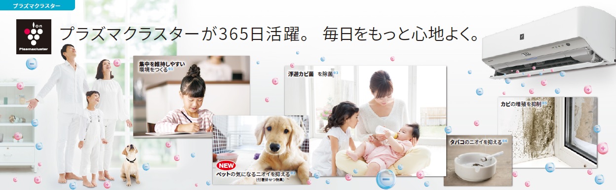 �V���[�v�@AY-J56X2-W �G�A�R�� 2019�N J-X�V���[�Y �z���C�g�n [������18���p /200V]