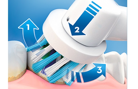 ���E�{�㉺���RD�ی^��]