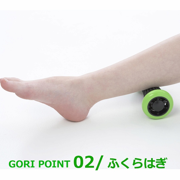 gori�@poinnto�@�ӂ���͂�