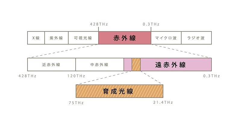 �u�N���C�c�C�I��&reg;�e�N�m���W�[�v�ɂ���������