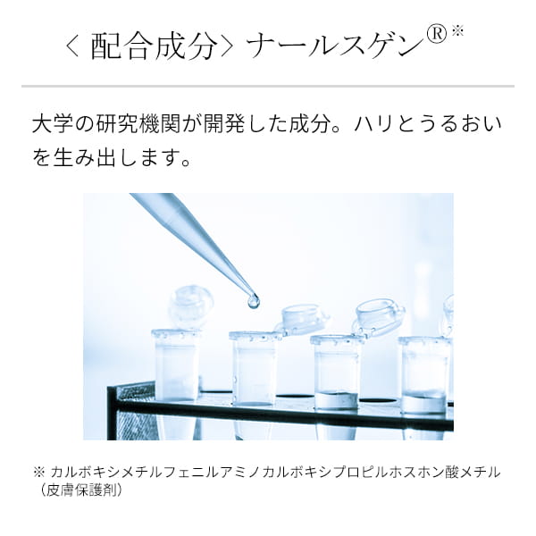 �z�������@�i�[���X�Q��