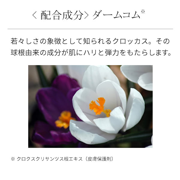 �z�������@�_�[���R��