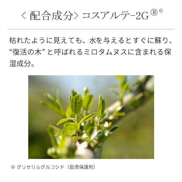 �R�X�A���e�[2G