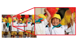 ���Ӌ@��EPC�\�t�g �p�\�R���\�t�g �摜�E�f���E���y����\�t�g ����E�f���ҏW�\�t�g �W�����O���@Jungle  �݂�Ȃ̃t�H�g���[�r�[ 10 [Windows�p]