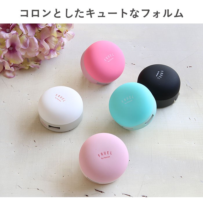 FRUEL �t���[�G�� 2�|�[�gUSB-AC�[�d��̓���