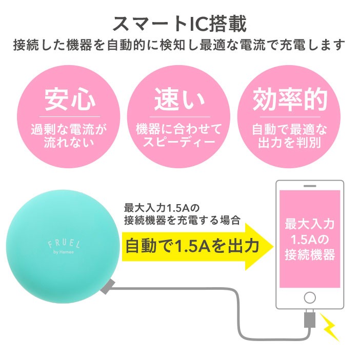 FRUEL �t���[�G�� 2�|�[�gUSB-AC�[�d��̓���