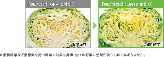 3�̌��ŗΉ��𑣐i���܂��B