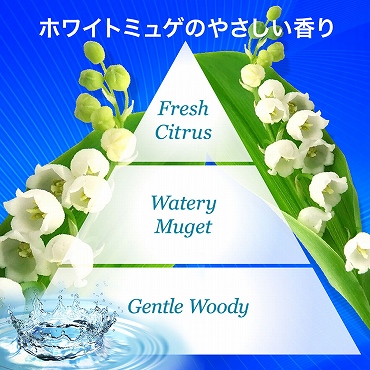 6347981_���Ă��~��5