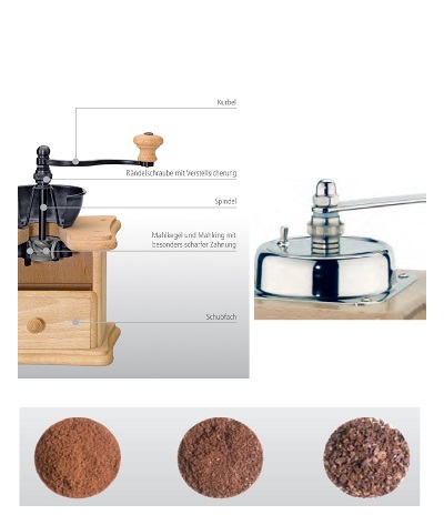 Zassenhaus�i�U�b�Z���n�E�X�j �R�[�q�[�~��