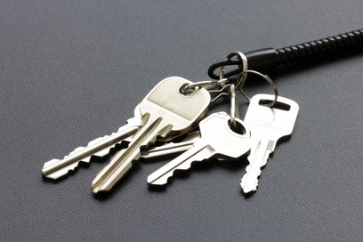 �S���玙��앟�����c�� ���������X�e�b�J�[24������@���q�����@�ً}�A���@���Ƃ������