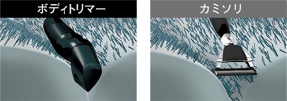 �]�[���Ȃǂ����₷���uV���w�b�h�v