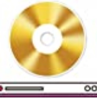 PC�\�t�g �p�\�R���\�t�g �摜�E�f���E���y����\�t�g ����E�f���ҏW�\�t�g �W�����O���@Jungle  ����DE��ʃ��R�[�_�[+DVD�쐬