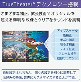 ����E�f���ҏW�\�t�g �T�C�o�[�����N�@CyberLink  PowerDVD19Pro�抷���E�A�b�v�O���[�h��