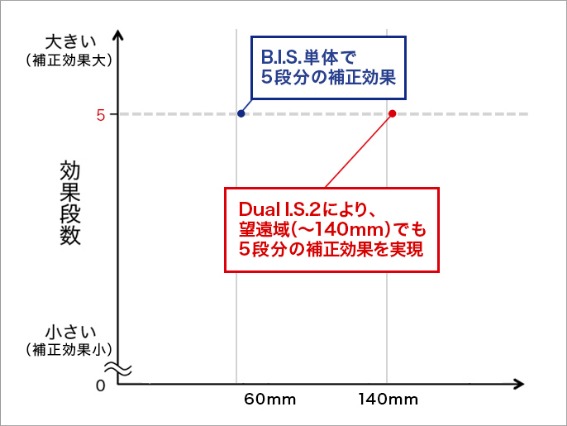 �p�i�\�j�b�NG99Dual I.S.2