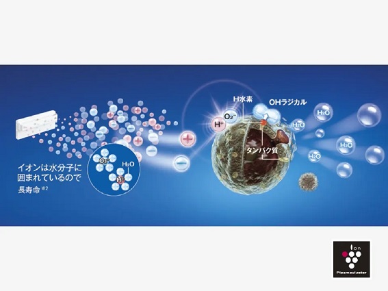 ���V�J�r�ہ�1��j�I�C��}����