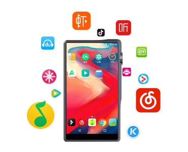 iBasso Audio DX220 [64GB /�n�C���]�Ή�]