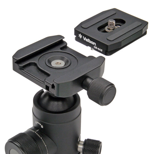 �A���J�X�C�X�݊��V���[