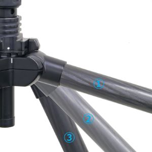 ���O�i�J�r