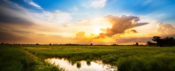 HDR10�{�^Dolby Vision�Ή�