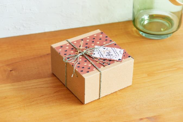 �L���m��_iNSPiC ZV-123 �i�g�p��j�v���[���g�^�O