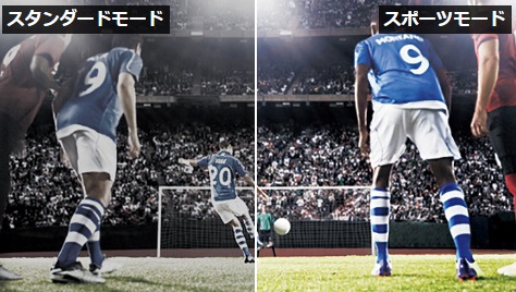 [�X�|�[�c���[�h]�X�|�[�c�ϐ�̗Տꊴ���A�b�v�����p�̎������[�h