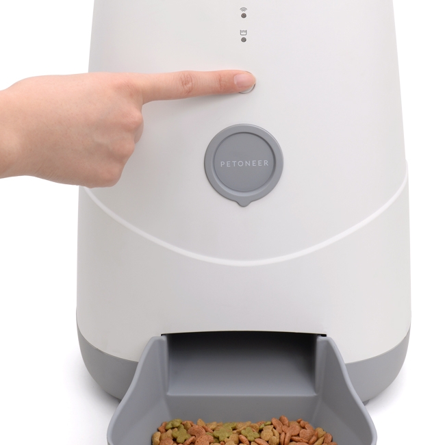 �����^�b�`���a