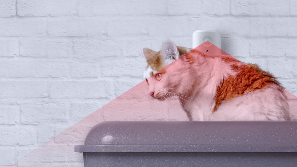 �����N��