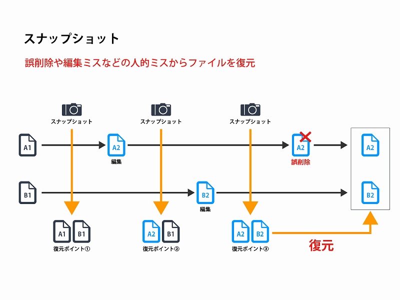 �M���������߂�f�[�^�ی�@�\