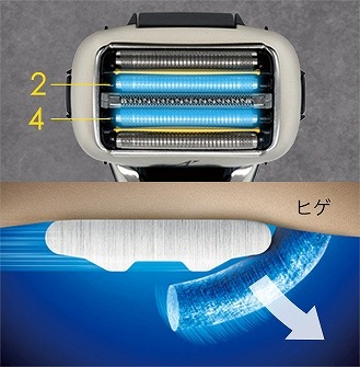 �A�S���̐Q���q�Q���Ƃ炦��u�����q�Q���t�g�n�v