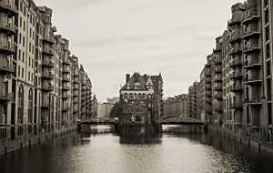 �J�V�I�@CASIO  �d�q�s�A�m GP-310WE �z���C�g�E�b�h�� [88����]