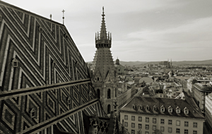 �J�V�I�@CASIO  �d�q�s�A�m GP-310WE �z���C�g�E�b�h�� [88����]