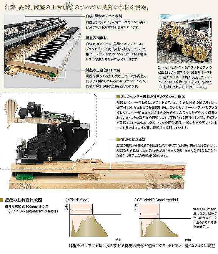 �J�V�I�@CASIO  �d�q�s�A�m GP-310WE �z���C�g�E�b�h�� [88����]