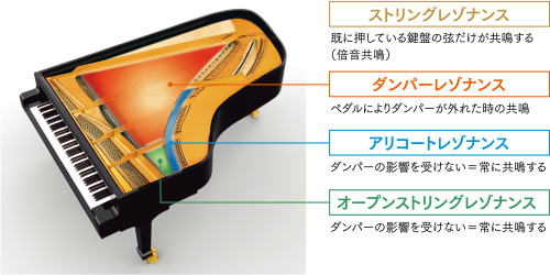 �J�V�I�@CASIO  �d�q�s�A�m GP-310WE �z���C�g�E�b�h�� [88����]