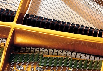 �J�V�I�@CASIO  �d�q�s�A�m GP-310WE �z���C�g�E�b�h�� [88����]