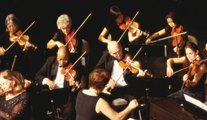 �J�V�I�@CASIO  �d�q�s�A�m GP-310WE �z���C�g�E�b�h�� [88����]