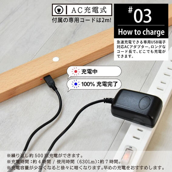 2WAY LED�f�X�N���C�g&�X�e�B�b�N���C�g wasser52�@AC�[�d��