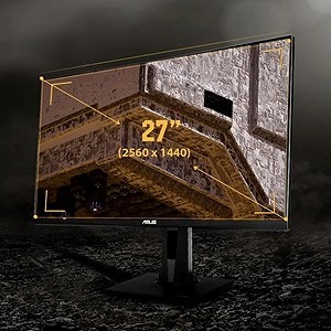 �������ׂȃr�W���A���Ɛ��m�ȐF��������������WQHD IPS�p�l��